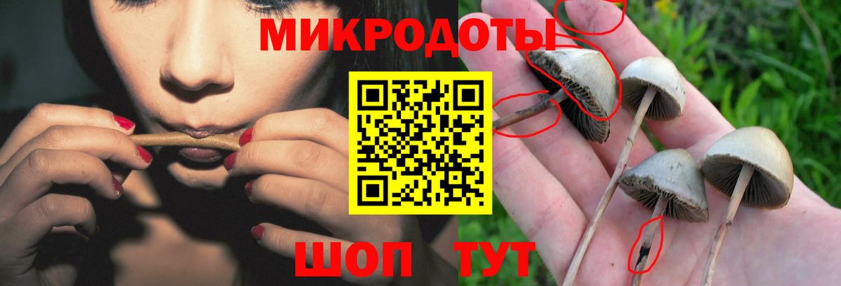 Псилоцибиновые грибы прущие грибы  Вход с VPN  продажа наркотиков  Новоалександровск 