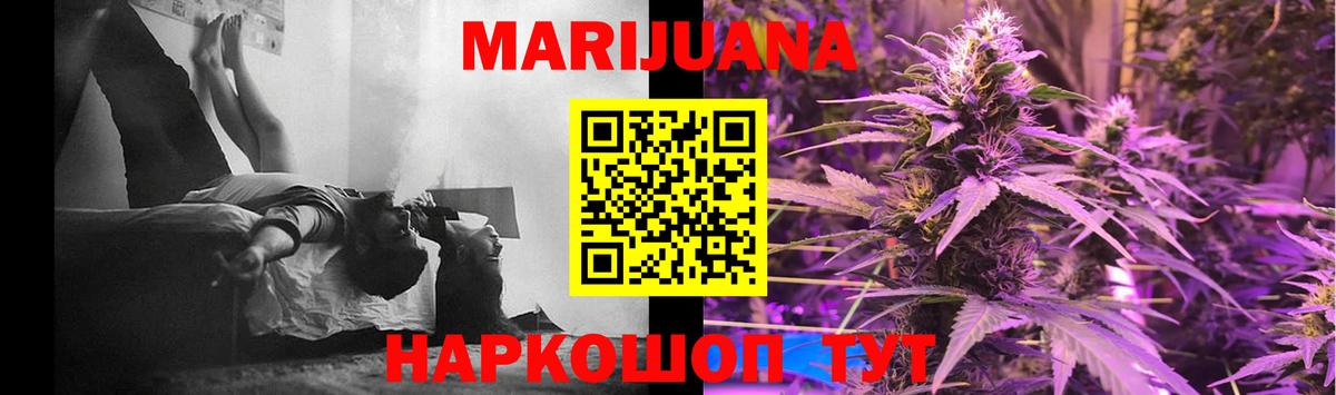 Бошки Шишки семена  Каннабис White Widow  Новоалександровск  Шишки марихуана план  Марихуана MAZAR  Вход с VPN 